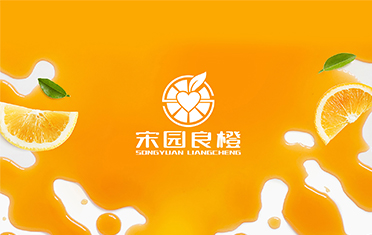 某良橙——湘潭LOGO设计
